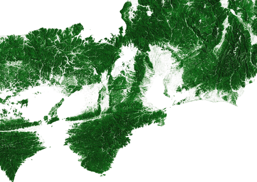 Forested Areas in Japan